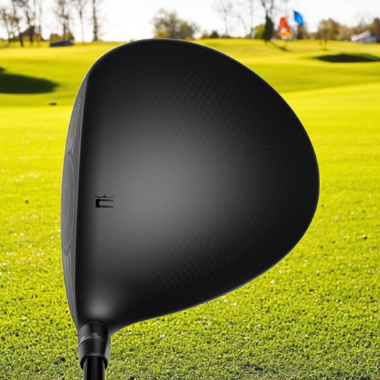 PROMOCION DARKSPEED LS Driver