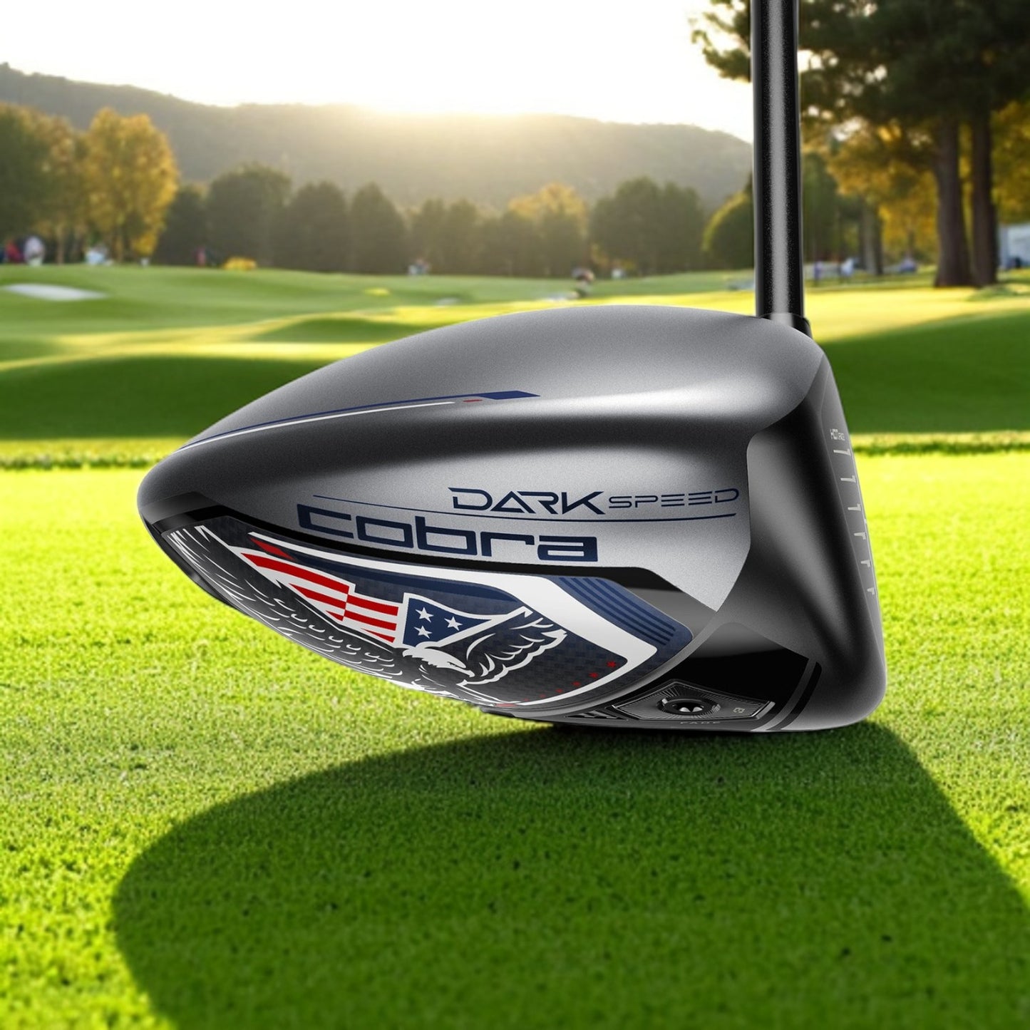 DARKSPEED LS Volition Driver