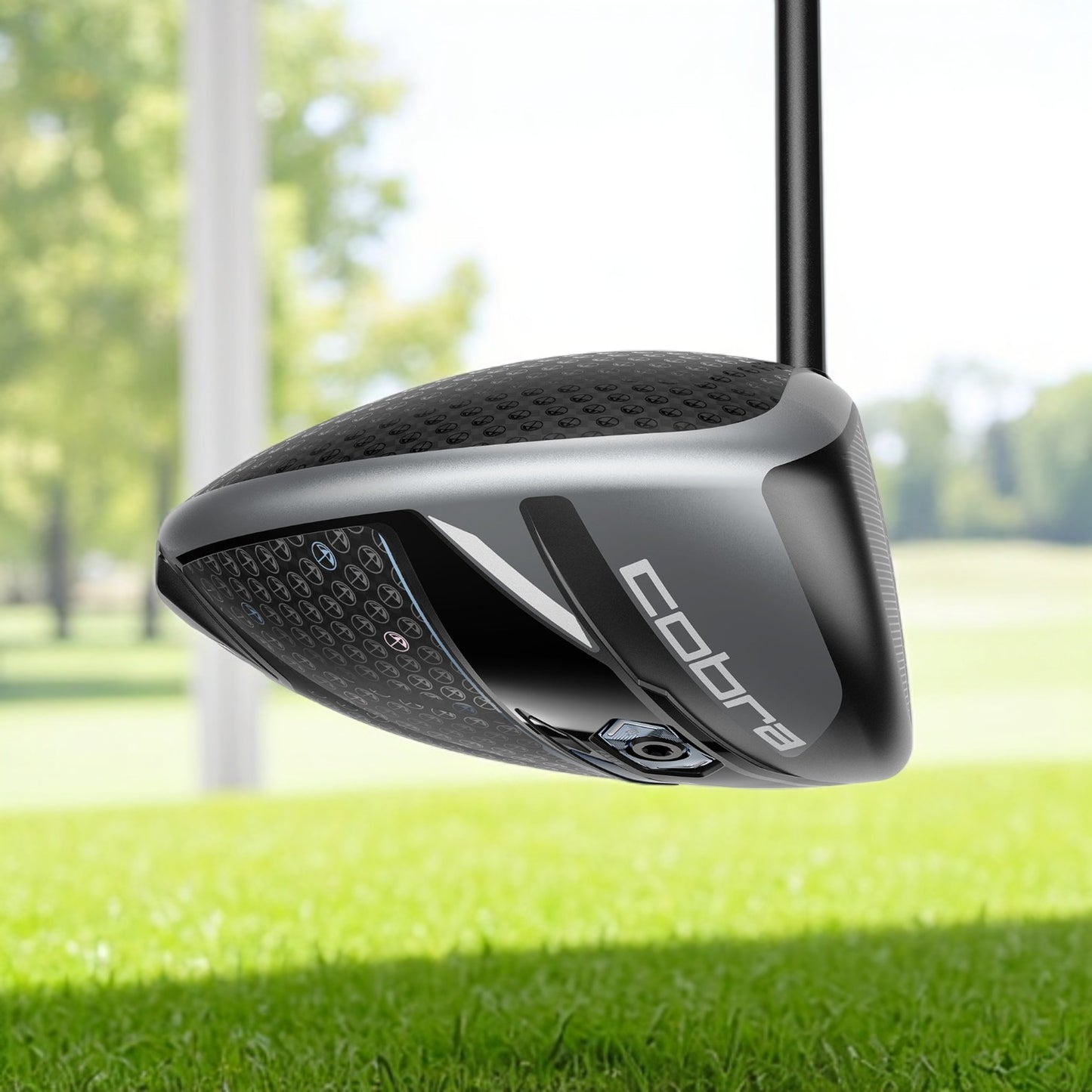 DS-ADAPT LS Arnold Palmer Driver