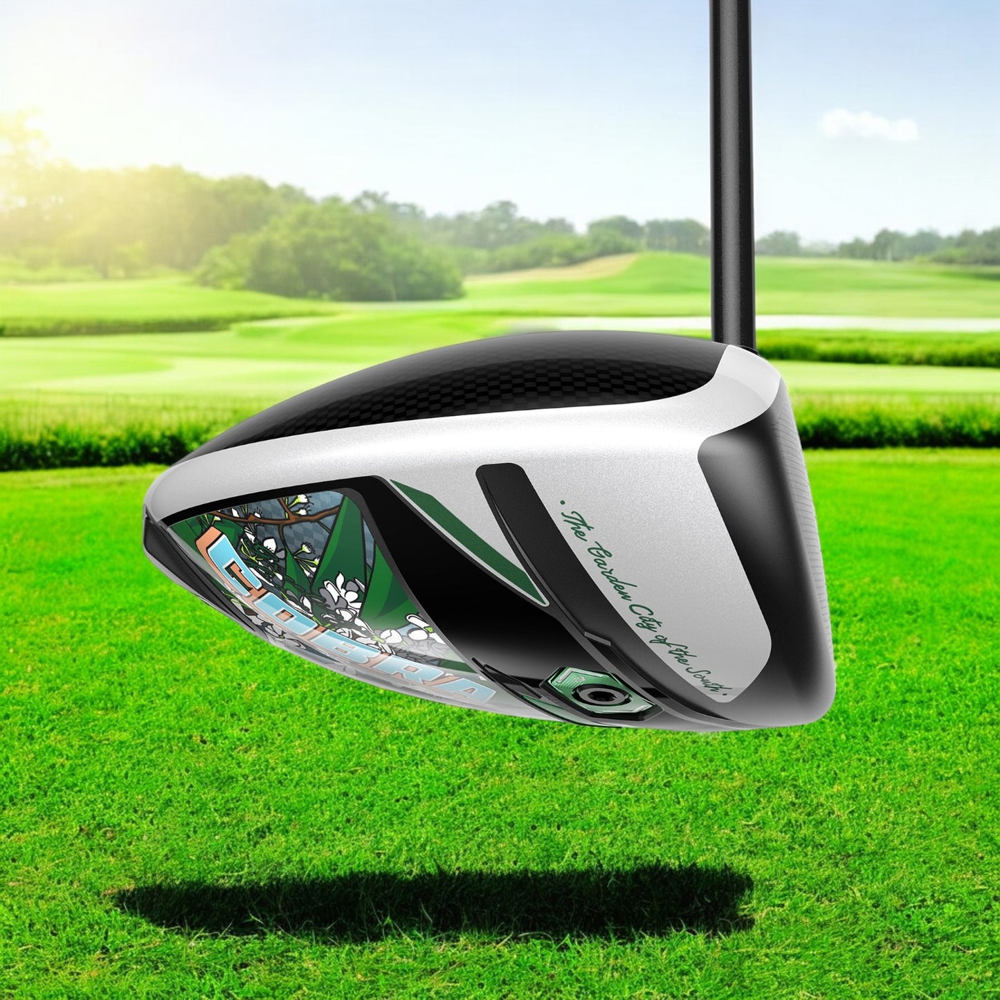 DS-ADAPT LS Season Opener Driver