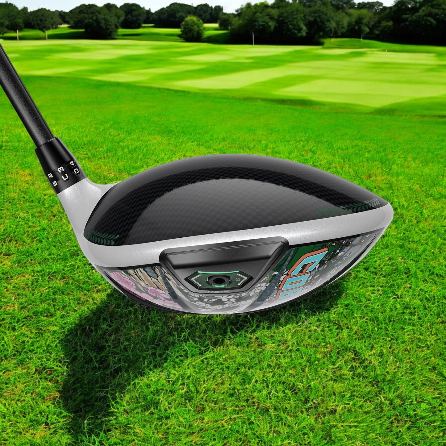 DS-ADAPT LS Season Opener Driver