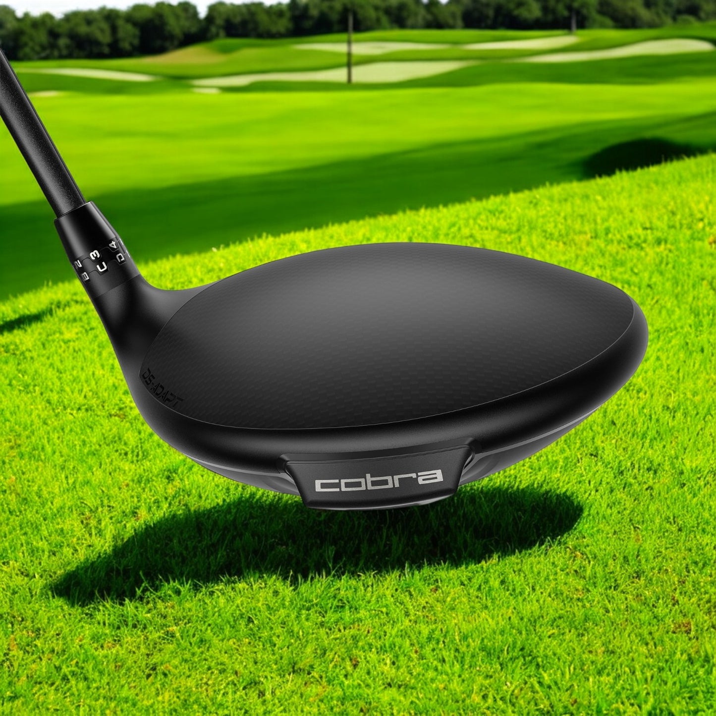 DS-ADAPT MAX-D Driver