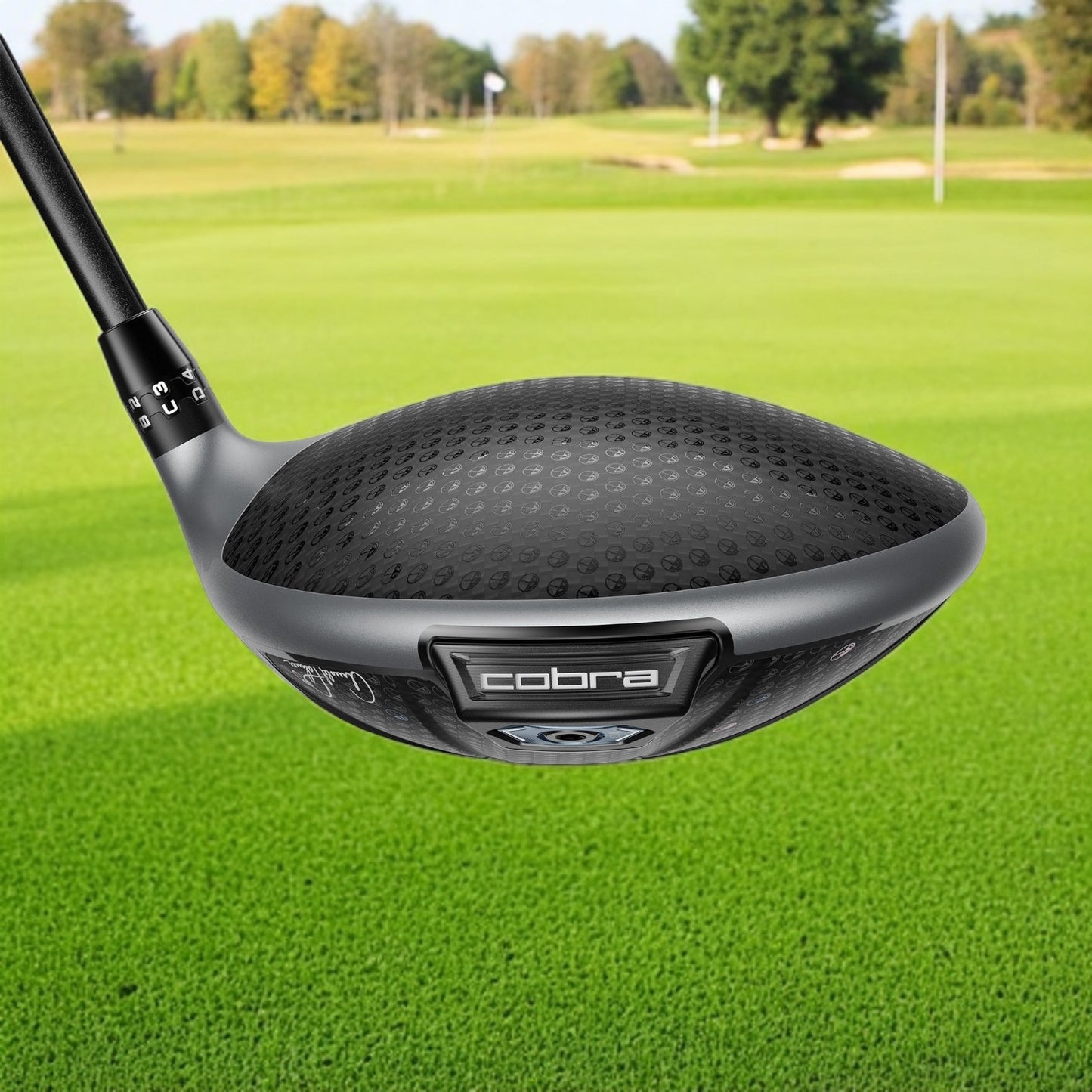 DS-ADAPT X Arnold Palmer Driver