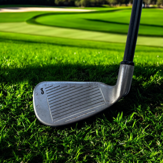 Big Bertha Iron 3 Regular