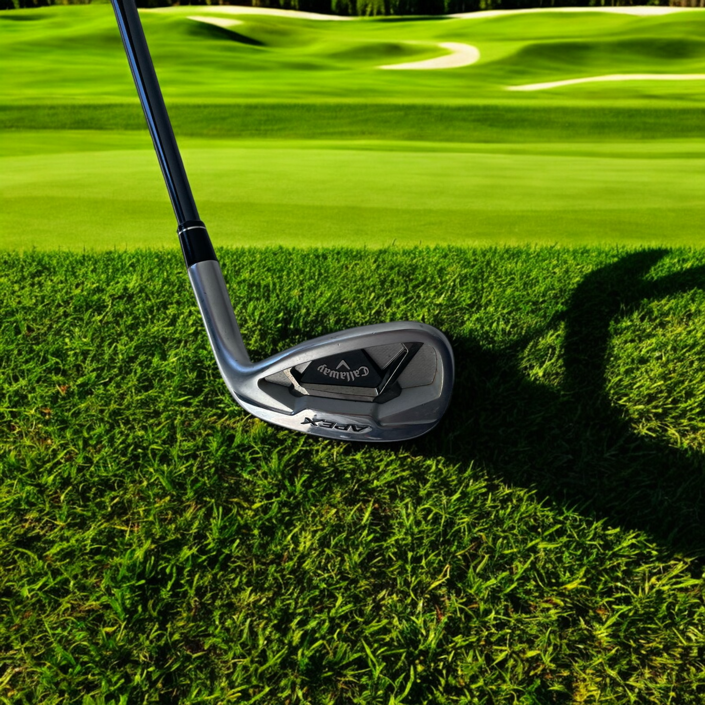 APEX 2021 A Wedge Regular