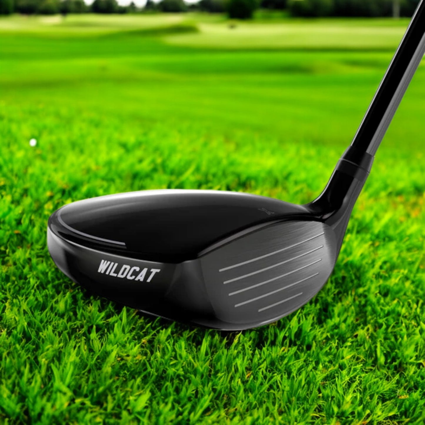 Wildcat Fairways